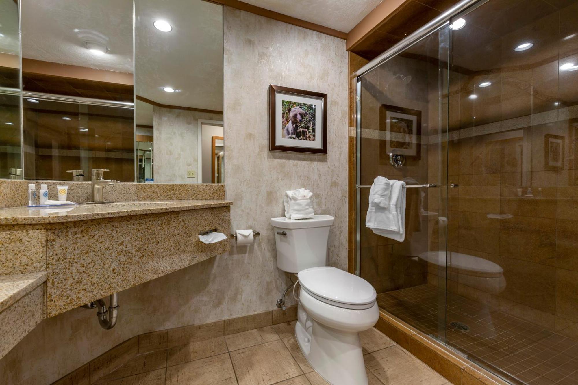 מיסולה Comfort Inn מראה חיצוני תמונה